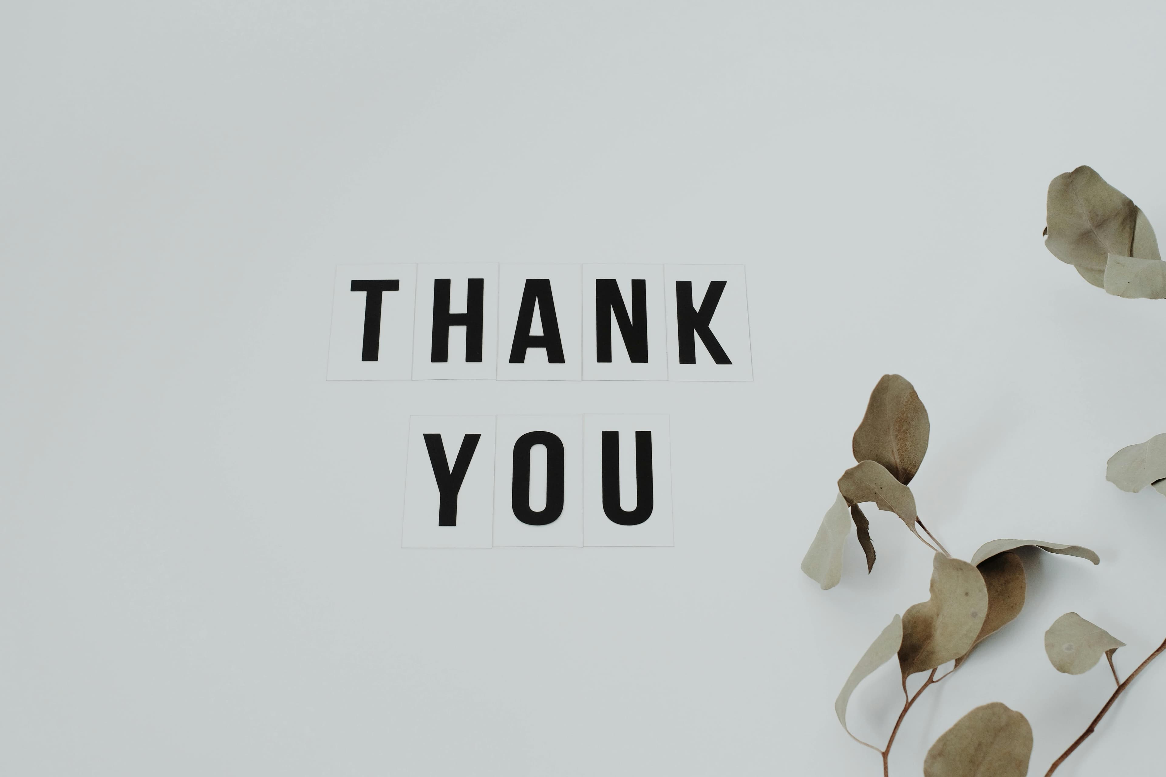 Thank You Notes